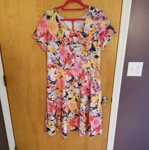 Modamix Dress, Like New, Size 14